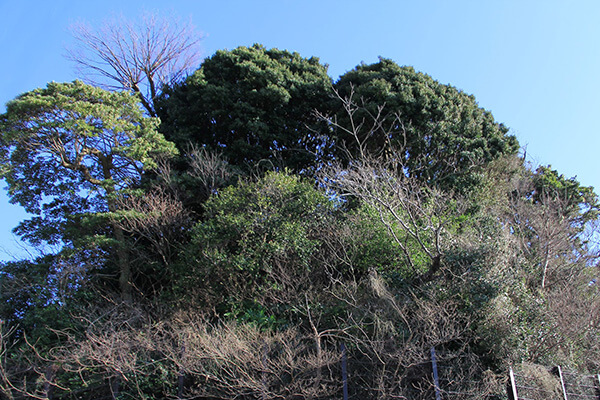 鐙摺山（旗立山）