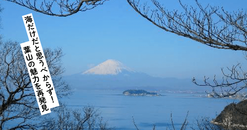 葉山の自然を満喫！ウォーキングコース