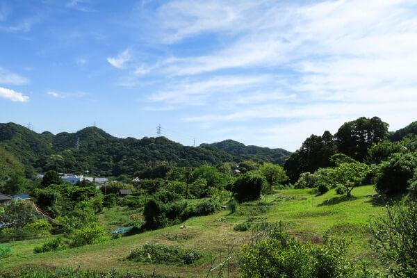 上山口エリア