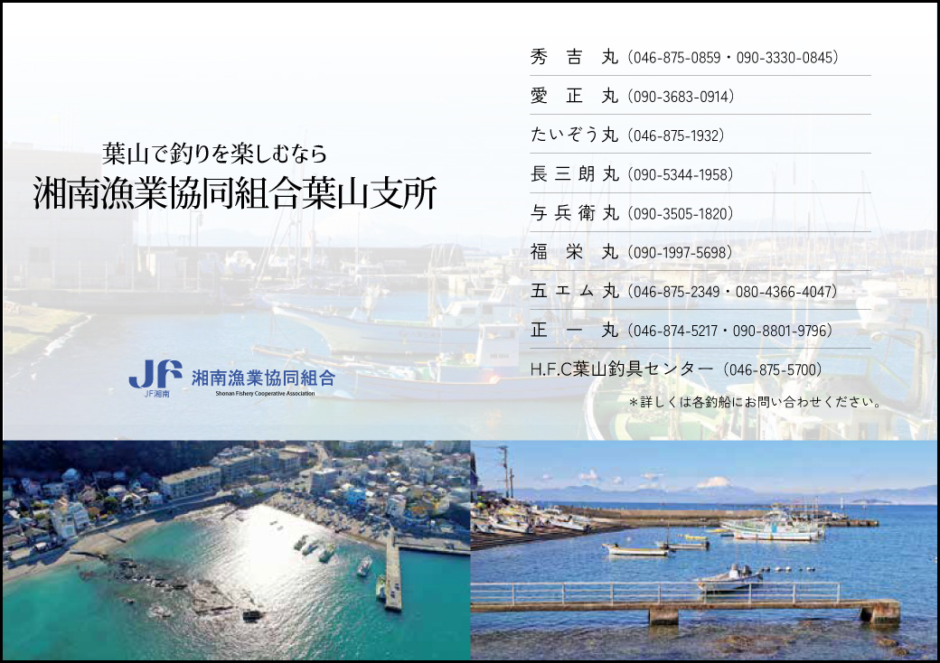 湘南漁業協同組合葉山支所