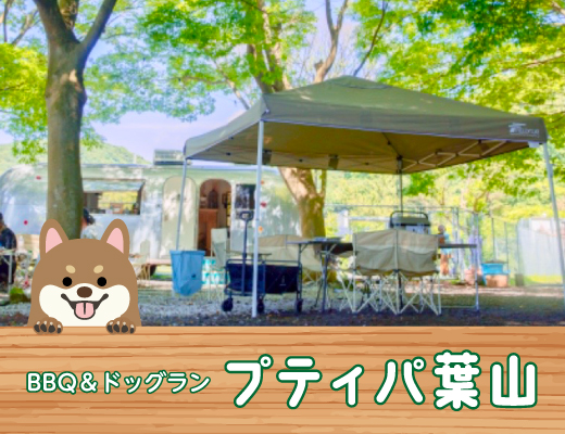 BBQ・ドッグラン プティパ葉山
