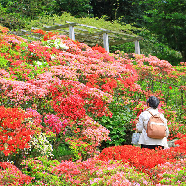 花の木公園