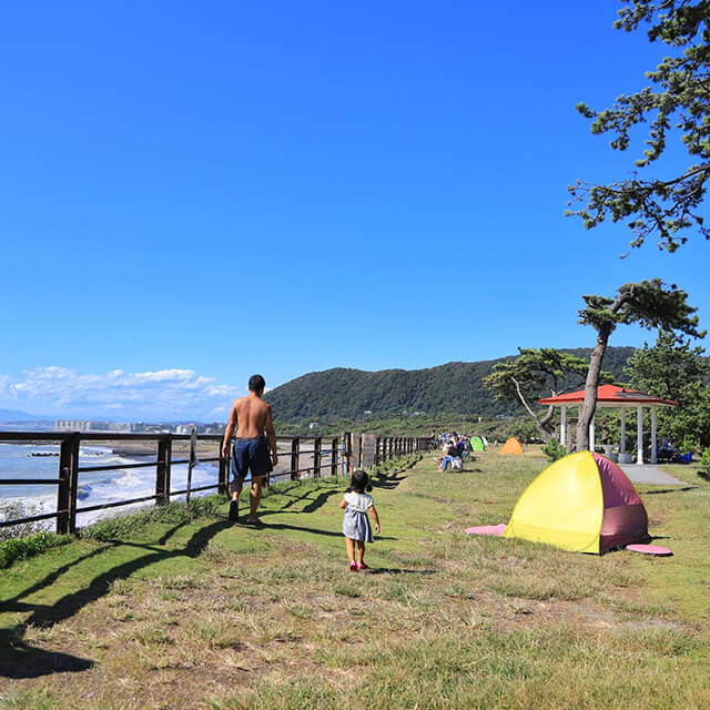 県立葉山公園