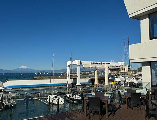 マーロウ 葉山マリーナ店