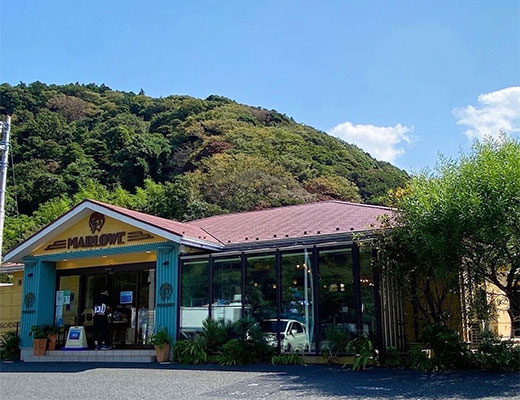 マーロウ 逗葉新道店