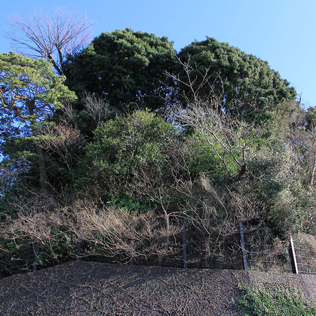 鐙摺山（旗立山）